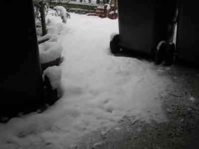 advancing snow